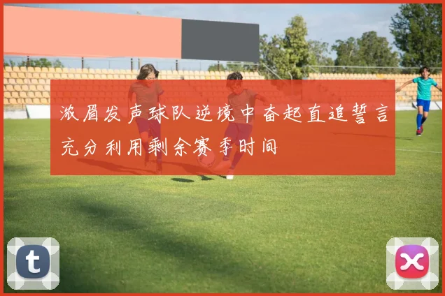 浓眉发声球队逆境中奋起直追誓言充分利用剩余赛季时间