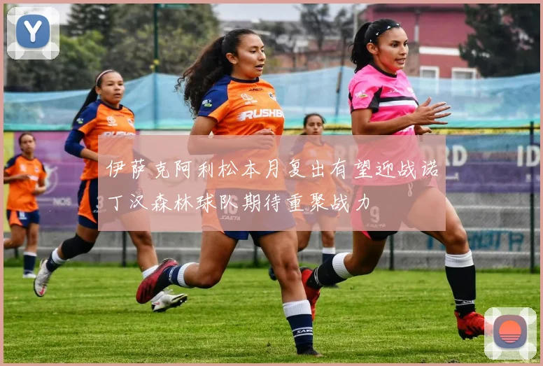 伊萨克阿利松本月复出有望迎战诺丁汉森林球队期待重聚战力
